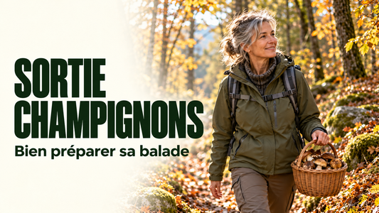Marcheuse portant un panier de champignons sur un chemin forestier