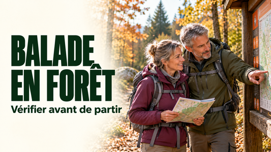 Couple de randonneurs consultant les informations à l’entrée d’une forêt