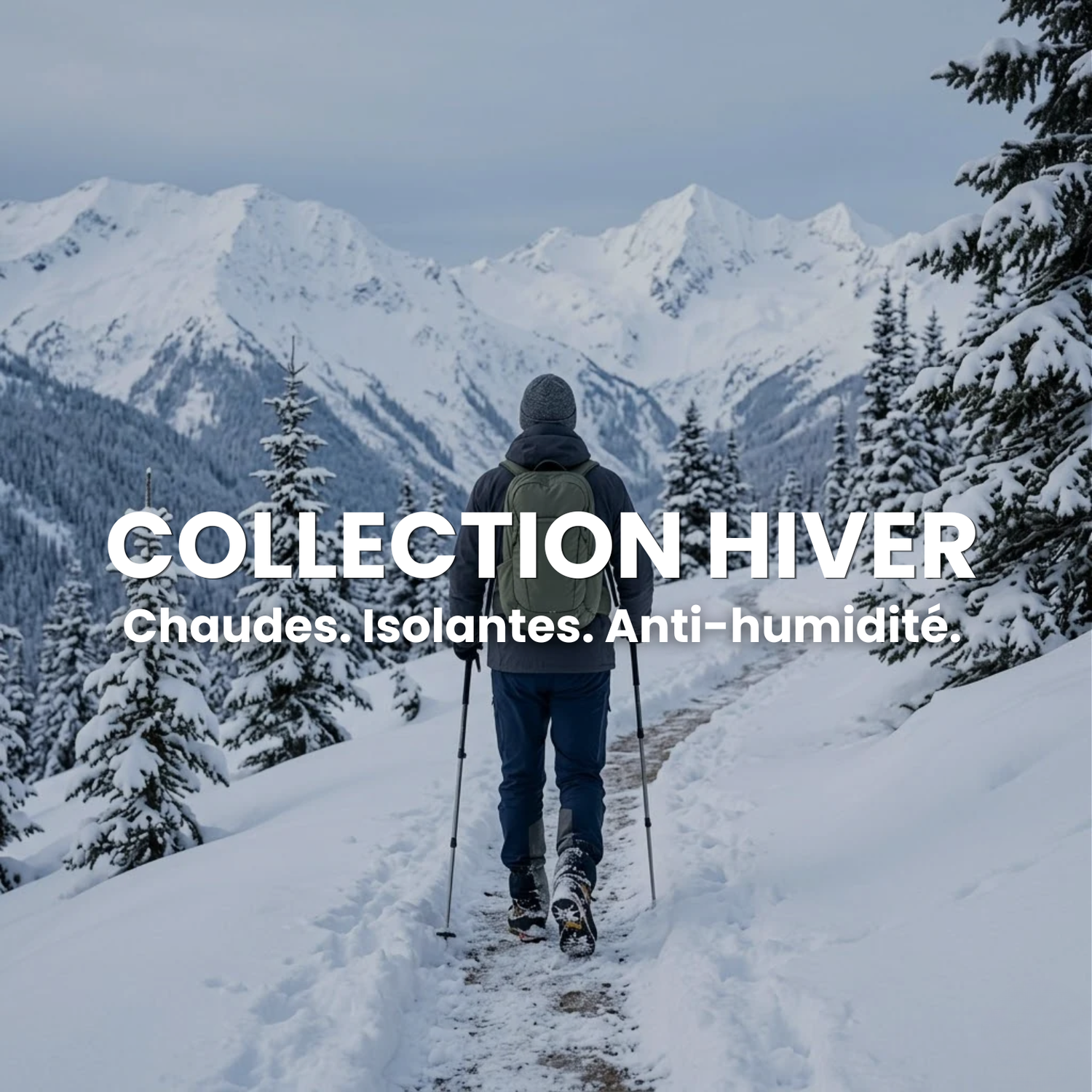 Collection d'Hiver