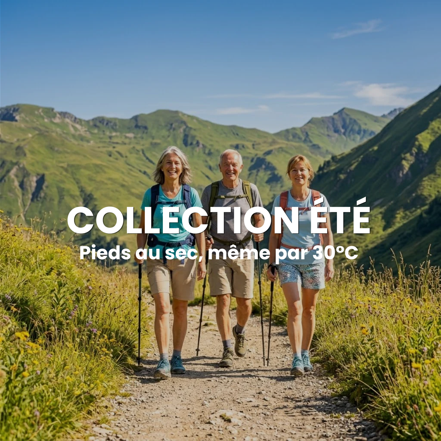 Collection Été