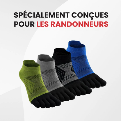 Merino+ (Hauteur courte)